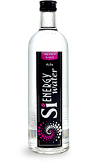 Sienergy water 0.5 л в пластике приобрести в интернет-магазине «Эколотос»