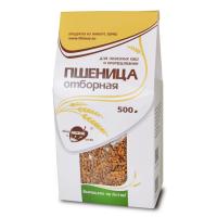 Алтайская пшеница 500 гр. приобрести в интернет-магазине «Эколотос»